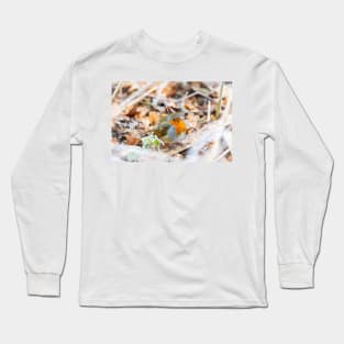 Puffed-up Robin Redbreast in Frost Long Sleeve T-Shirt